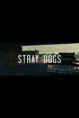 Poster for Stray Dogs