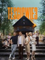 Poster for The In-Laws 3