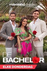 Poster for De Bachelor