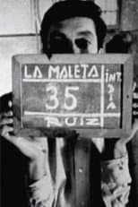 Poster for The Suitcase