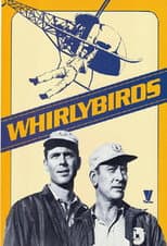 Poster for Whirlybirds