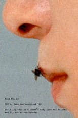 Poster for Fly