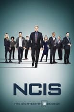 Poster for Season 18