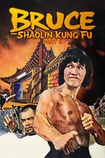 Poster for Bruce and Shaolin Kung Fu Part 2