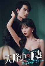 Poster for The Silent Wife Sent from Heaven