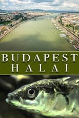 Poster for The Fish of Budapest