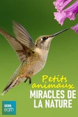 Poster for Petits animaux, miracles de la nature