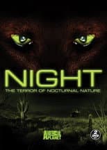 Poster for Night