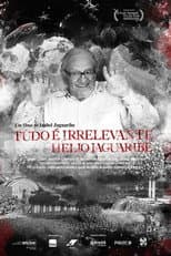Poster for Tudo é Irrelevante. Hélio Jaguaribe