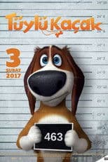Poster for Run Ozzy Run