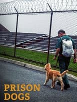 Poster for Prison Dogs