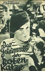 Poster for The Mystery of the Red Cat