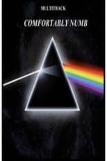 Poster for Pink Floyd - Comfortably Numb