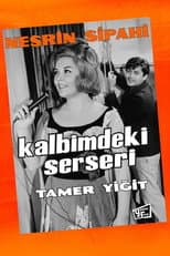 Poster for Kalbimdeki Serseri