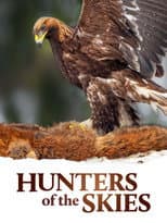 Poster for Hunters of the Skies