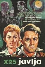 Poster for X-25 Reports
