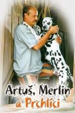 Poster for Artus, Merlin a Prchlici