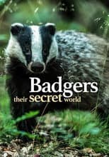 Poster for Badgers: Their Secret World
