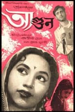 Poster for Agun