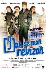 Poster for Jak se moří revizoři