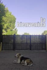 Poster for La bienvenida