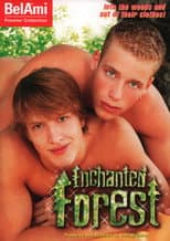 Poster for Enchanted Forest