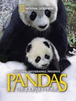 Poster for Pandas: The Journey Home