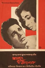 Poster for The Survivor