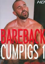 Poster for Bareback Cumpigs 1