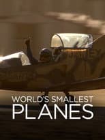 Poster for World's Smallest Planes