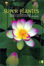 Poster for Super plantes