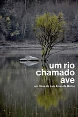 Poster for Um Rio Chamado Ave