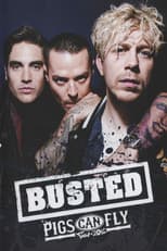 Poster for Busted: Pigs Can Fly Tour 2016