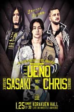 Poster for DDT Mission in Battle ~new year splendor~