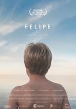 Poster for FELIPE