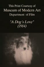 Poster for A Dog's Love