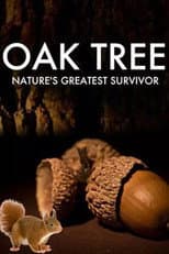 Poster for Oak Tree: Nature's Greatest Survivor