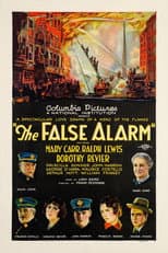 Poster for The False Alarm