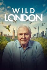 Poster for Wild London