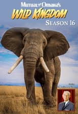Poster for Season 16