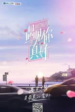 Poster for 遇见你真好