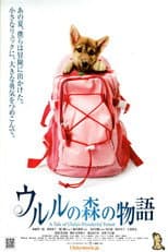 Poster for A Tale of Ululu's Wonderful Forest