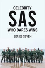 Poster for Series 7