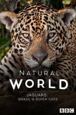 Poster for Jaguars: Brazil's Super Cats