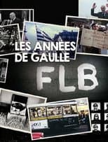 Poster for FLB, Les années De Gaulle - Les années Giscard