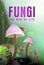 Poster for Fungi: The Web of Life