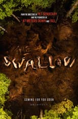 Poster for The Swallow