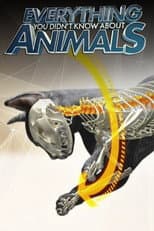 Poster for Everything You Didn't Know About Animals
