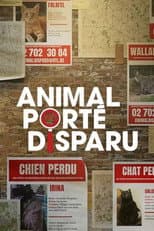Poster for Animal porté disparu