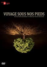 Poster for Voyage sous nos pieds